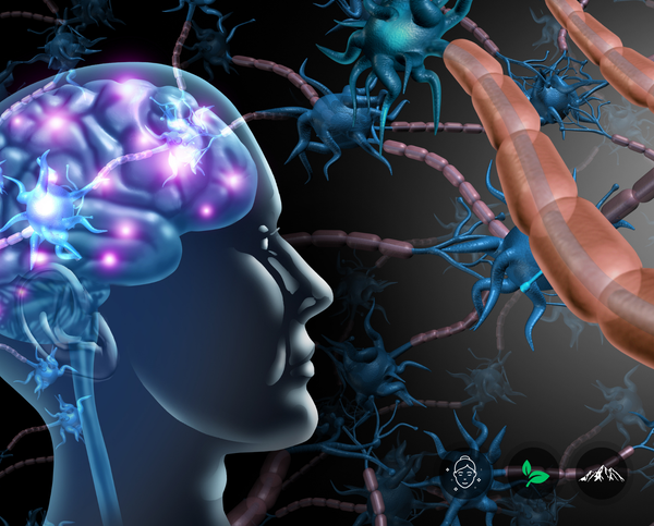 Memory & Brain Function