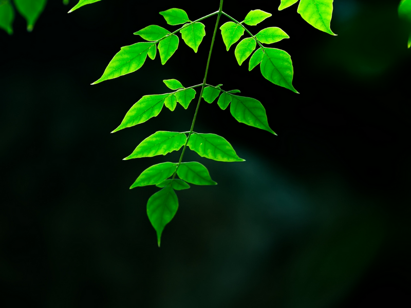Community Image 3